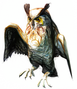 owl-v2